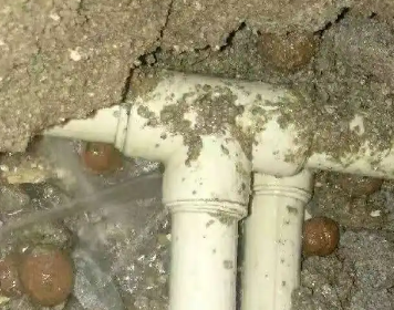 茂南测漏水多少钱