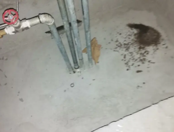 茂南卫生间测漏水价格明细