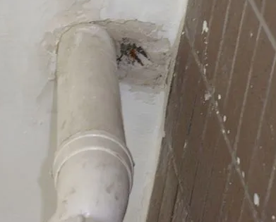 茂南漏水检测哪家好